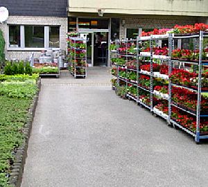 Arnouts - Friedhofsgärtnerei und Blumenfachgeschäft - Aachen